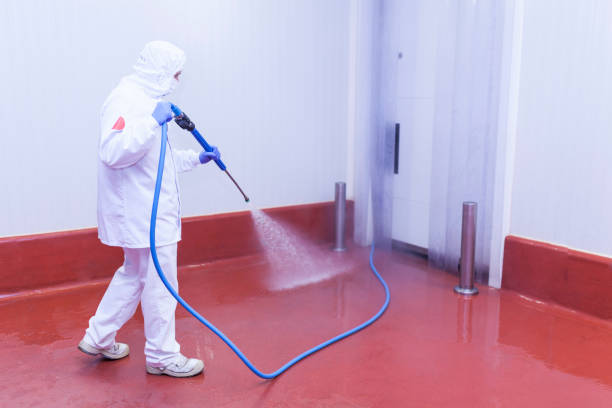 Best House Exterior Washing  in Jesup, GA