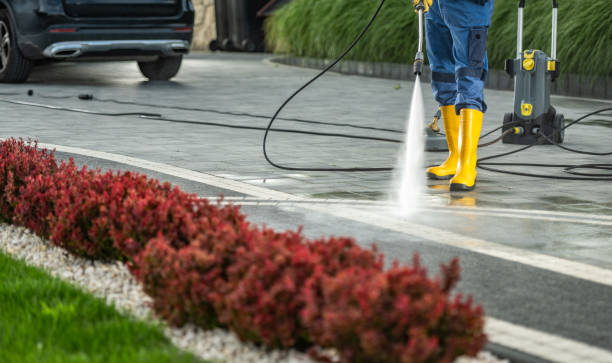 Best Building Exterior Washing  in Jesup, GA